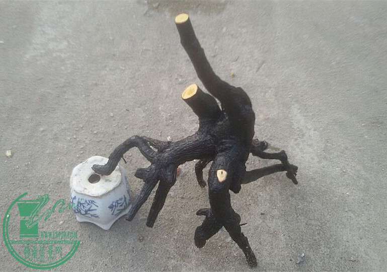 13_.jpg