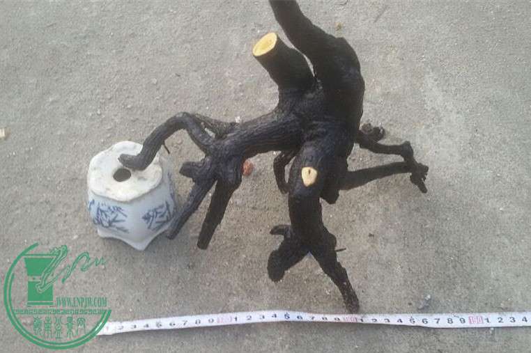 17_.jpg