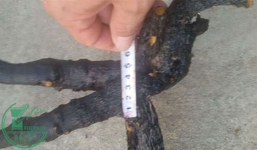 23_.jpg