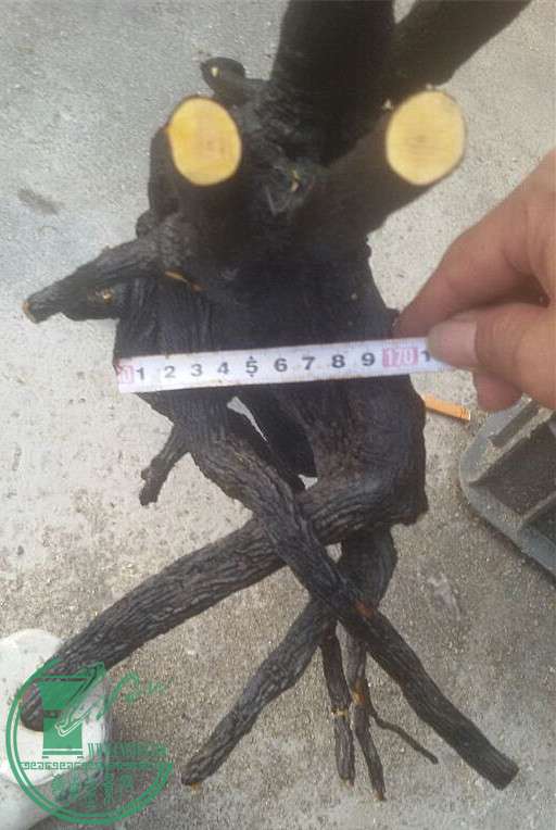 34_.jpg