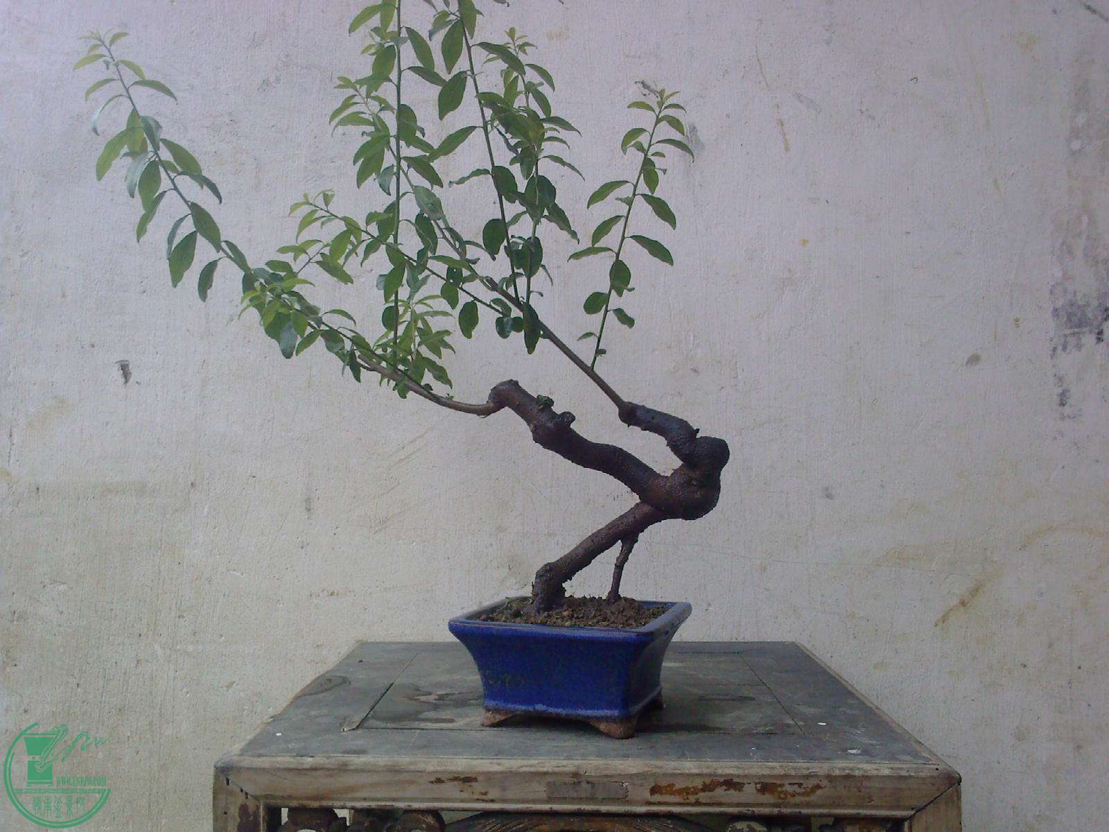 20150507115144.jpg