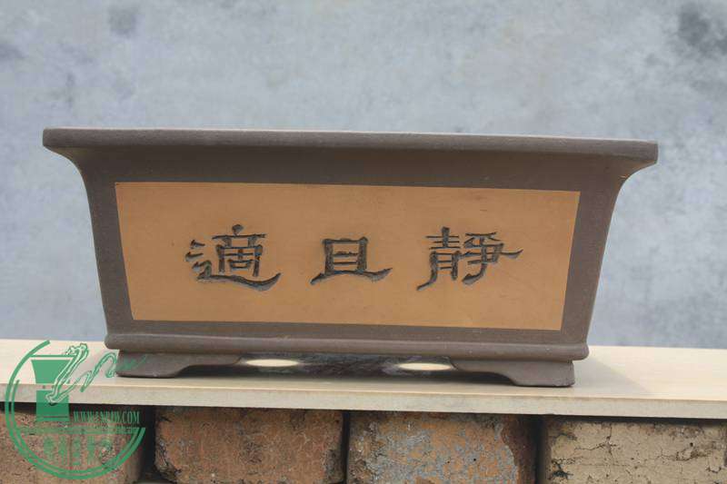 Ƭ20131026ۺ 3480.jpg
