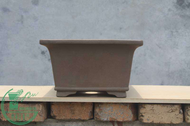 Ƭ20131026ۺ 3481.jpg