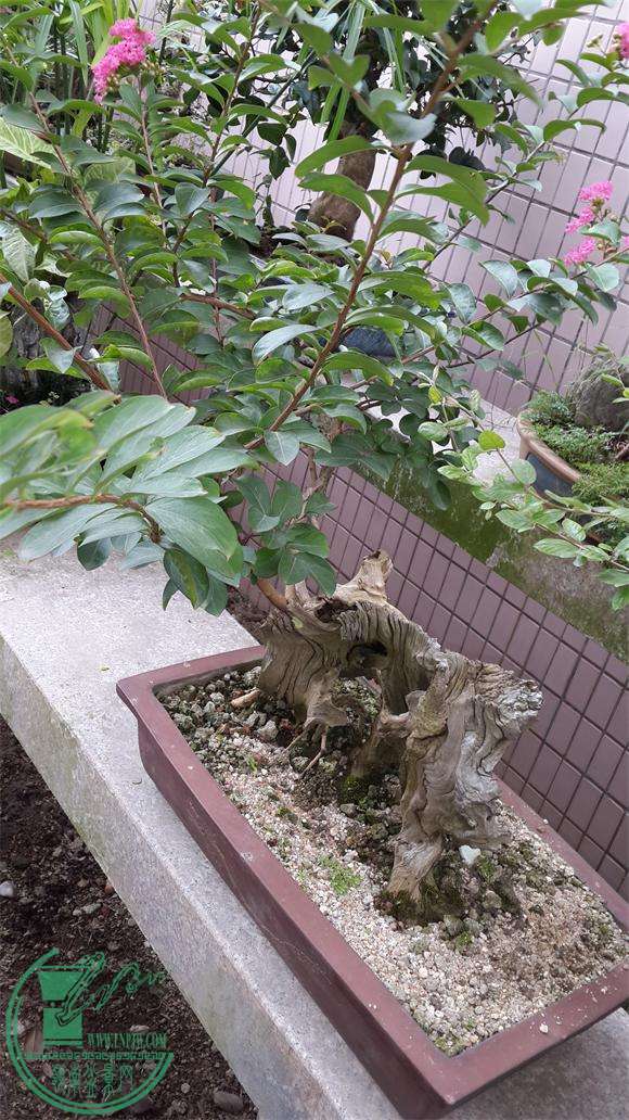 20150704_145128.JPG