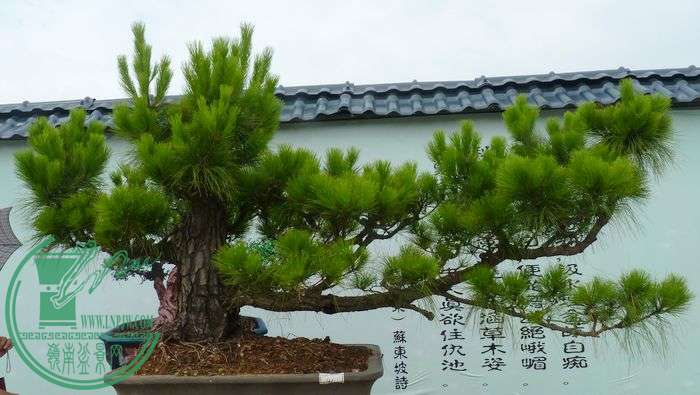 P1070202.JPG