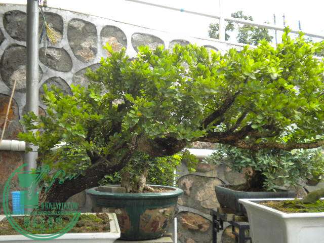 DSCN8042.JPG