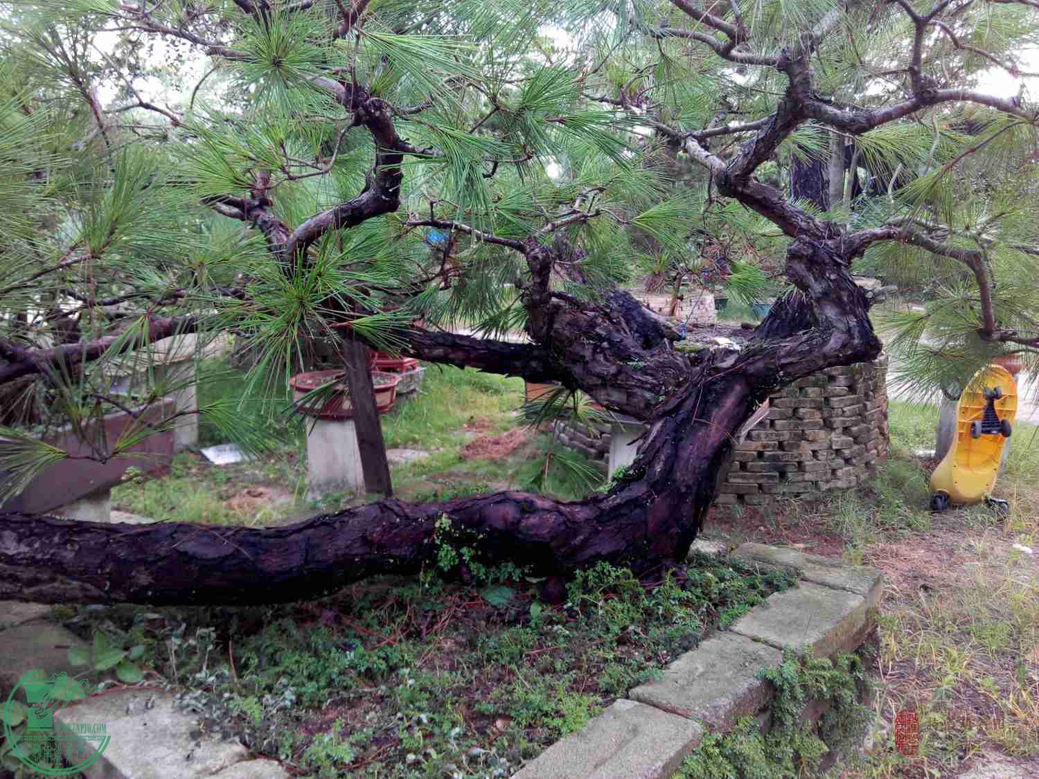 Xiaomi02.jpg