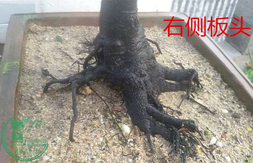 9_.jpg