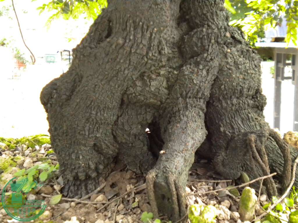 DSCN8161.JPG