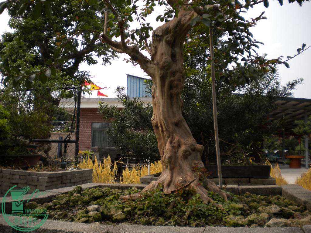 DSCN8165.JPG