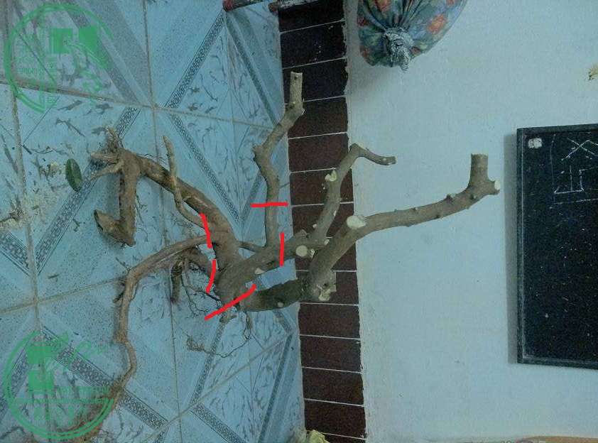 221831be362cam68hxxa2c_jpg_thumb.jpg