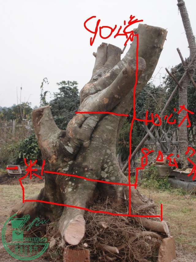 172806e8xzxccrp8ep35ec.jpg.thumb.jpg