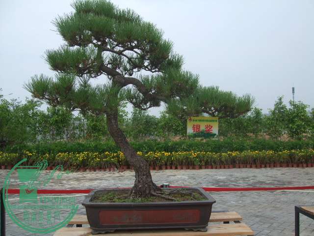 DSCF1119.JPG