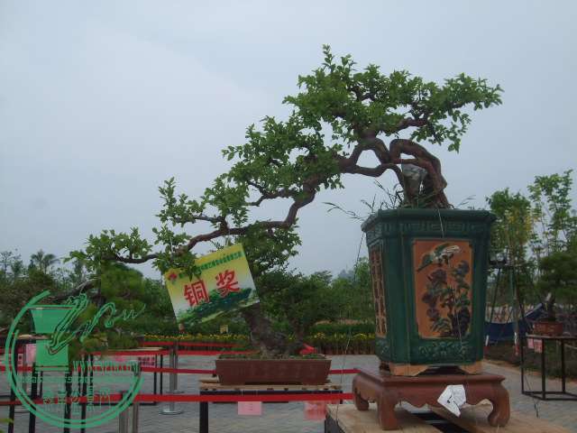 DSCF1140.JPG