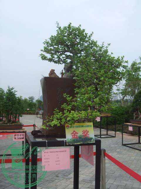 DSCF1184.JPG