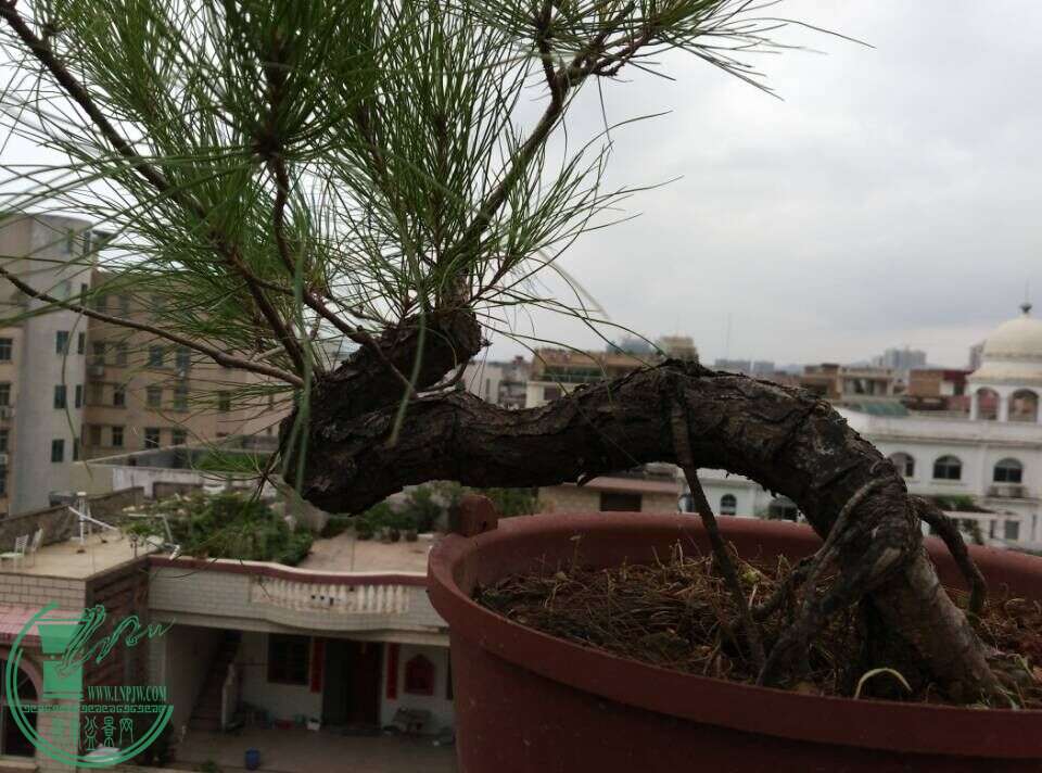 QQͼƬ20150717212059.jpg