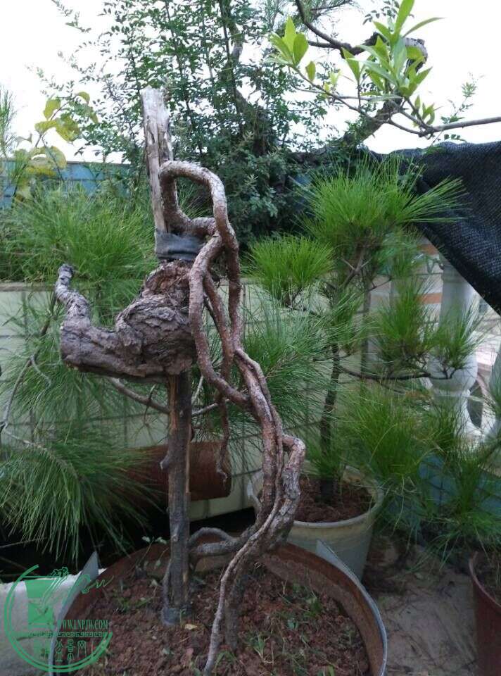 QQͼƬ20150717212112.jpg