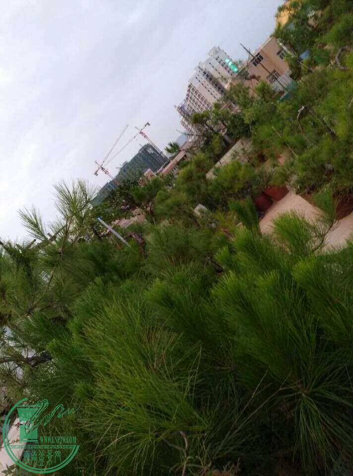QQͼƬ20150717212152.jpg