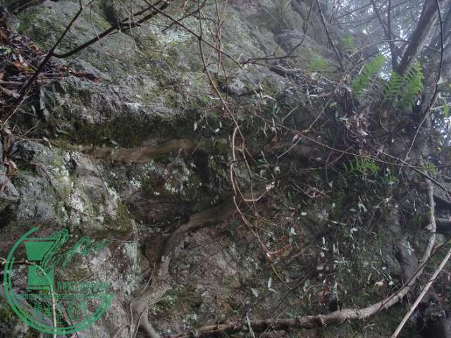 1849566nfd8x8ae40nxuxu.jpg.thumb.jpg