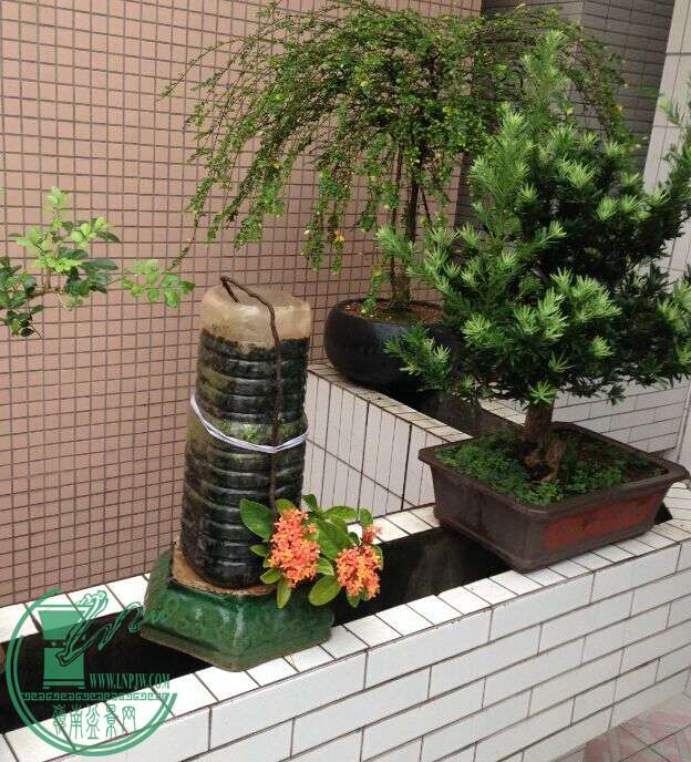 QQͼƬ20150723223059.jpg