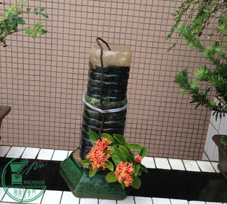 QQͼƬ20150723223136.jpg