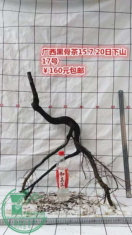 psb (90).jpg