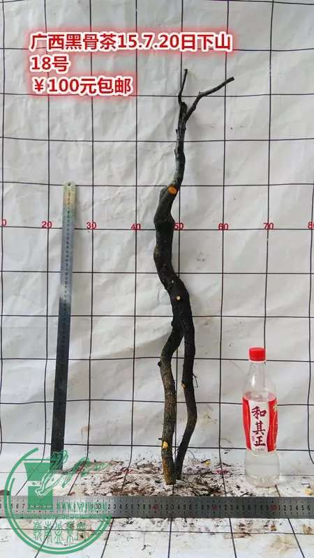 psb (91).jpg