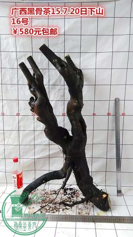 psb (86).jpg