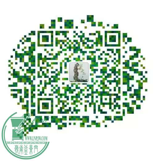 psb (13).jpg