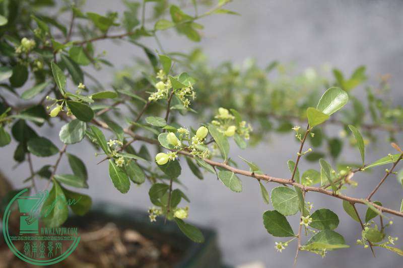 Ƭ20131026ۺ 3576.jpg