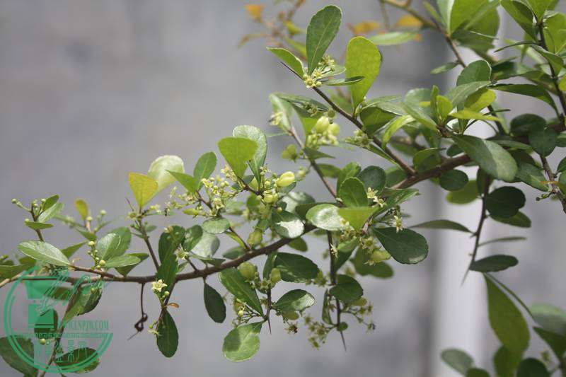 Ƭ20131026ۺ 3577.jpg
