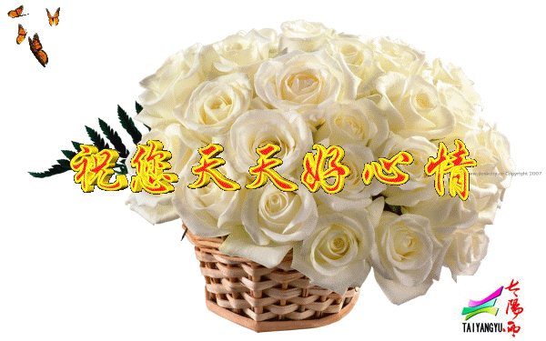 20081102_740f9b967a90508f8157aMpFvb0WucQV.gif