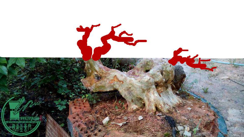 103543v89vqu4d4ps0cppa.jpg.thumb.jpg