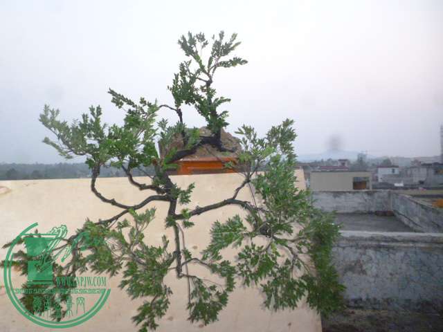 P1120402.JPG
