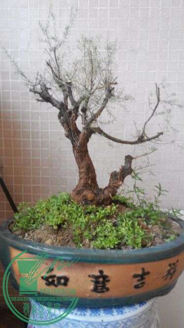 BKU{QB2I_J4~OLX]G$1~PW]5.jpg