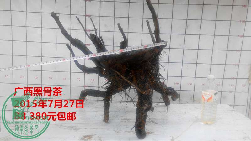 IMG_20150727_150101_.jpg
