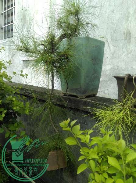 IMAG0592.jpg