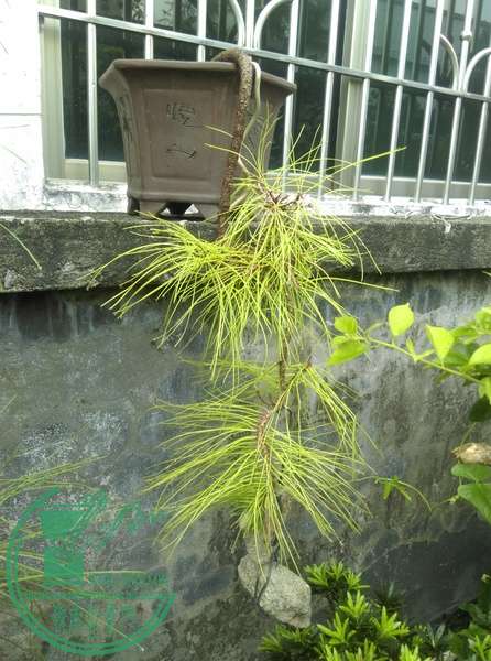 IMAG0593.jpg