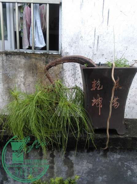 IMAG0597.jpg