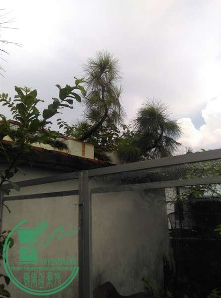 IMAG0616.jpg