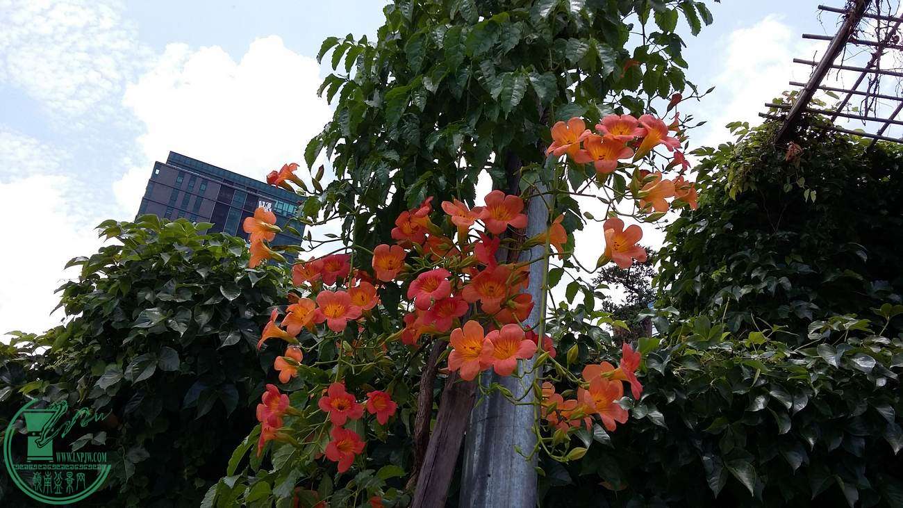 20150731_121958.jpg