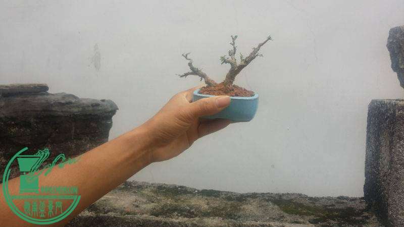 214024w0nleeyegxxi13xv.jpg.thumb.jpg