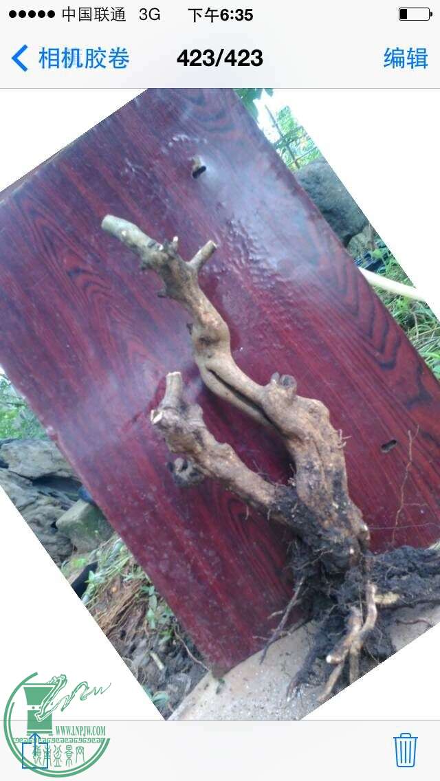 QQͼƬ2.jpg