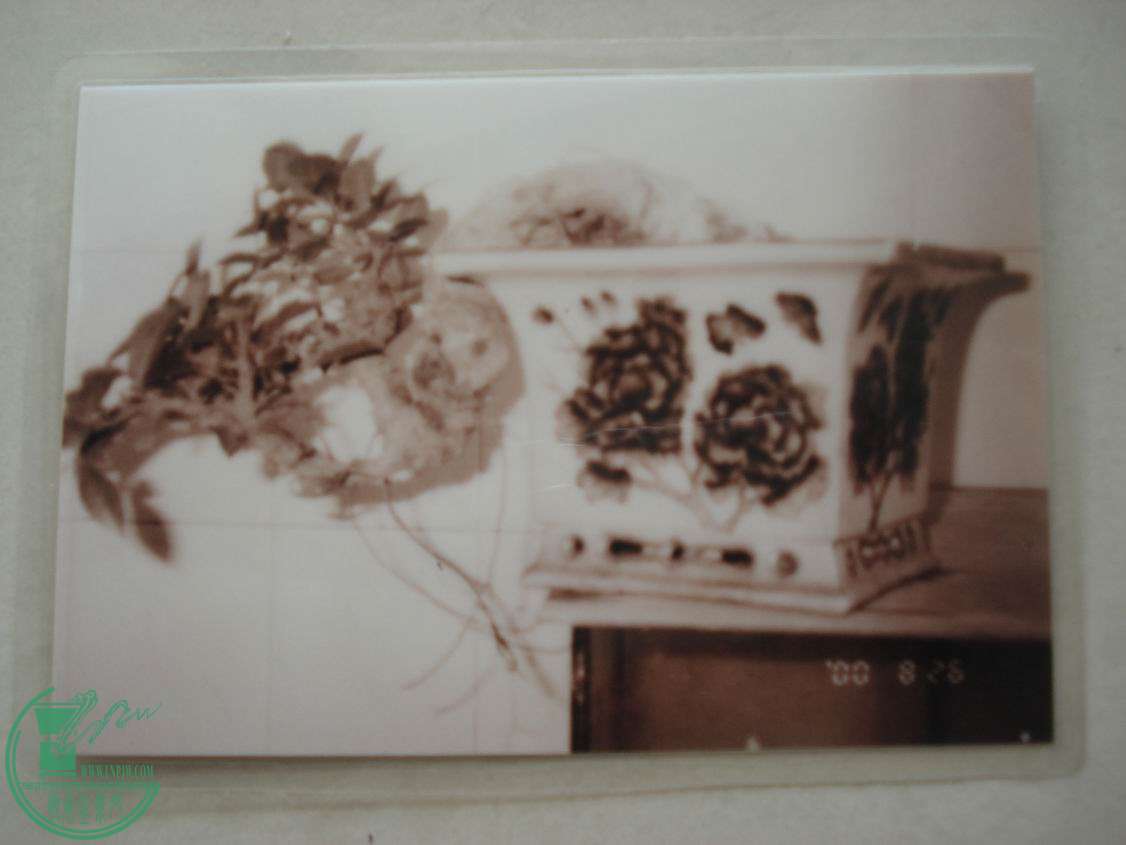 С DSC00066.JPG