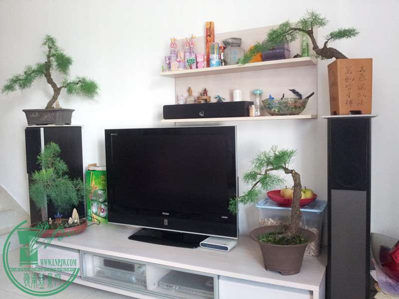 20150729_083010_.jpg