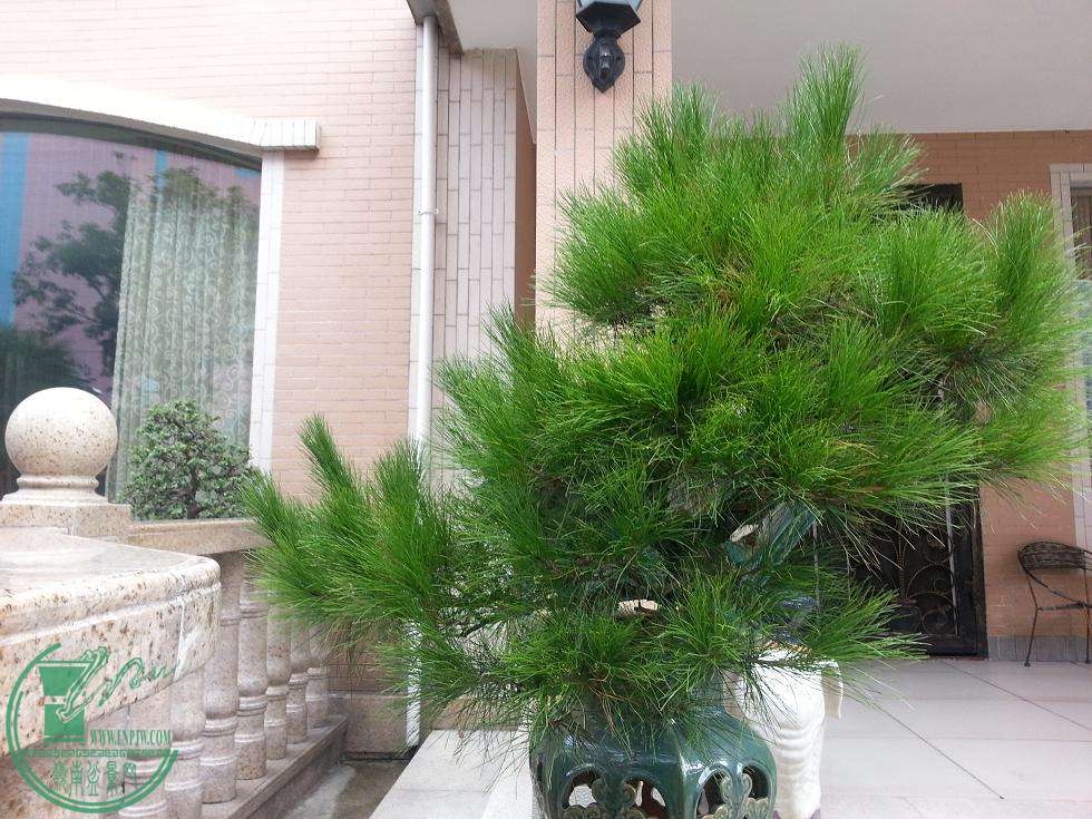  ½ļ (2)20150718_082228.jpg