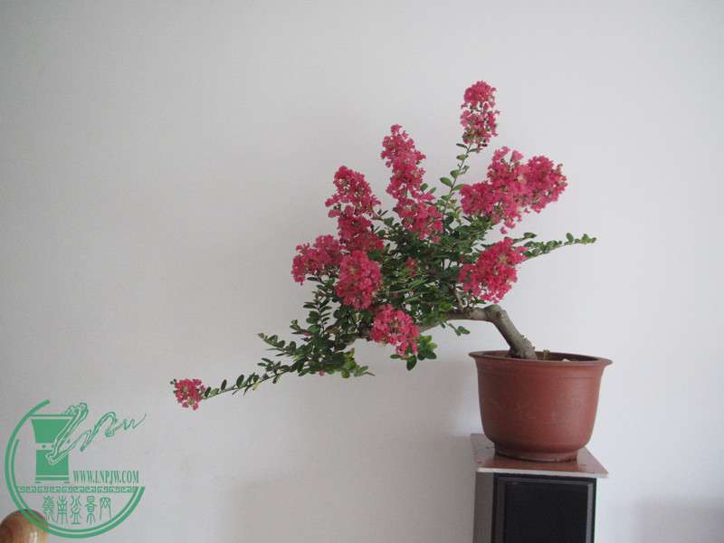IMG_0080_.jpg