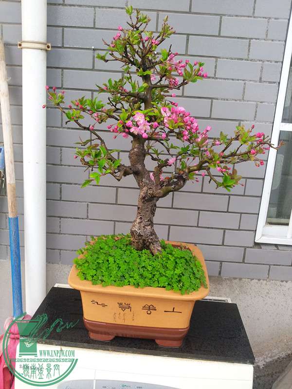 20150321_164237_.jpg