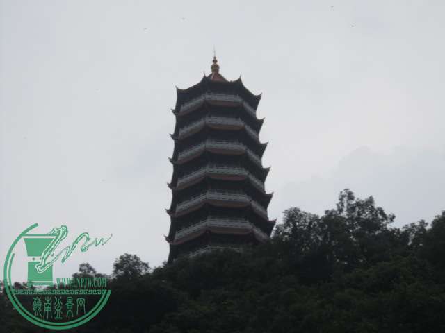 IMG_9429.JPG