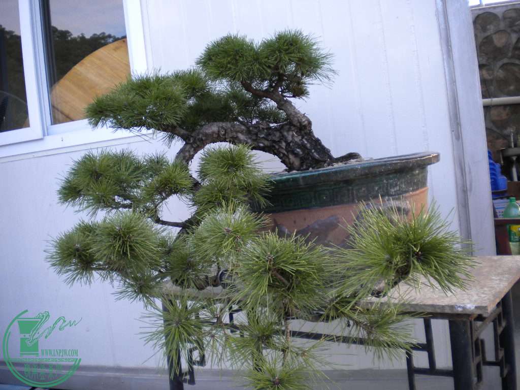 DSCN7453.JPG